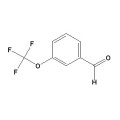 3- (Trifluoromethoxy) Benzaldehyde CAS No. 52771-21-8